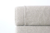 Easy Chair by Hans J. Wegner for Getama